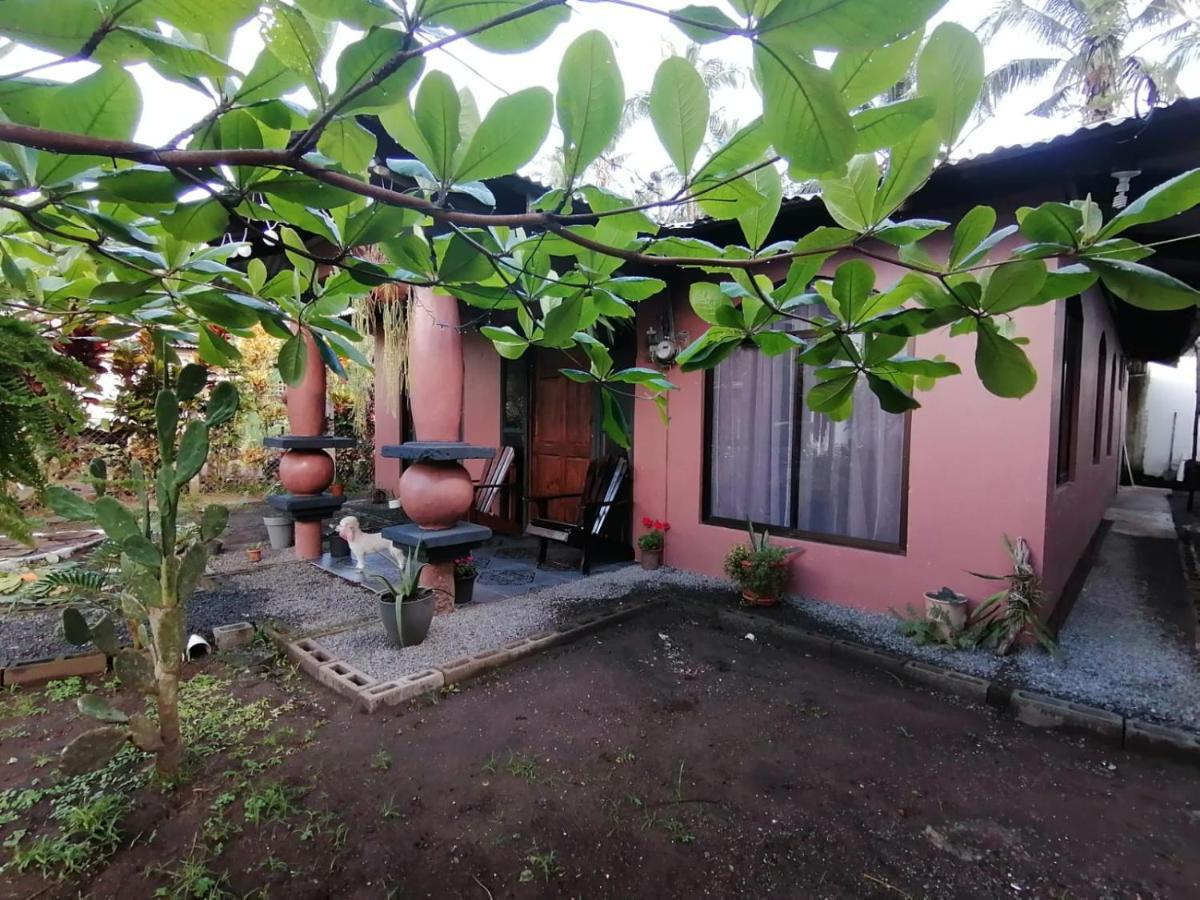 Micheck Beach House Tortuguero Exterior photo